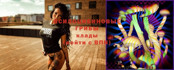 прущая мука Алзамай